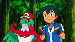 Rule 34 | 1boy, animated, animated gif, ash ketchum, creatures (company), forest, game freak, gen 6 pokemon, hat, hawlucha, lowres, male focus, nature, nintendo, pokemon, pokemon (anime), pokemon (creature), tagme