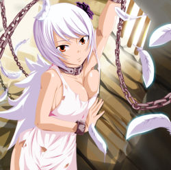 Rule 34 | 1girl, angel wings, bad deviantart id, bad id, barred window, breasts, brown eyes, chain, cleavage, collar, collarbone, cuffs, fairy tail, feathers, flower, flower on head, grimm6jack, hair flower, hair ornament, handcuffs, highres, large breasts, looking at viewer, open mouth, parted lips, prison, prison cell, prisoner, shackles, short hair, solo, torn clothes, vitor domingos cardoso ferreira, white hair, wings, yellow eyes, yukino aguria