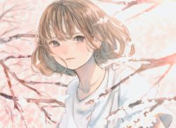 Rule 34 | 1girl, bob cut, branch, brown eyes, brown hair, cherry blossoms, collarbone, commentary request, highres, looking at viewer, orie h, original, outdoors, shirt, short hair, solo, spring (season), t-shirt, tearing up, upper body, white shirt