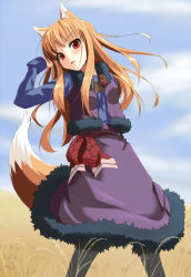 Rule 34 | 00s, animal ears, brown hair, grune, highres, holo, long hair, red eyes, solo, spice and wolf, tail, wheat, wolf ears, wolf tail
