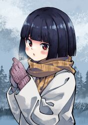Rule 34 | 1girl, akemiho tabi nikki, black hair, blunt bangs, blush stickers, bob cut, breath, brown scarf, commentary request, day, fukube tamaki, gloves, hands up, highres, jacket, kouno hikaru, looking at viewer, outdoors, parted lips, purple gloves, red eyes, scarf, solo, tree, upper body, white jacket