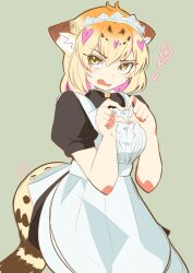 Rule 34 | 1girl, alternate costume, animal ears, apron, black dress, blonde hair, blush, brown hair, center frills, cowboy shot, dress, embarrassed, enmaided, fang, frills, heart, heart hands, highres, jaguar (kemono friends), jaguar ears, jaguar girl, jaguar print, jaguar tail, kamisamanosaba, kemono friends, looking at viewer, maid, maid apron, maid headdress, multicolored hair, open mouth, puffy short sleeves, puffy sleeves, short hair, short sleeves, solo, tail, white apron, yellow eyes