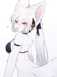 Rule 34 | 1girl, animal ears, bikini, body fur, breasts, furry, furry female, large breasts, long hair, orange eyes, original, pemi (spommmm), ponytail, solo, swimsuit, tail, tongue, tongue out, white background, white hair