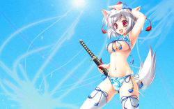 Rule 34 | 1girl, animal ears, breasts, female focus, hat, highres, inubashiri momiji, kamiya tomoe, large breasts, non-web source, short hair, silver hair, solo, sword, tail, third-party edit, tokin hat, touhou, underboob, wallpaper, weapon, wolf ears, wolf tail