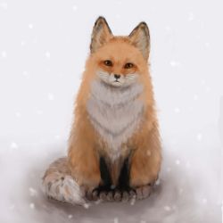 Rule 34 | 2n5, animal, fox, highres, looking at viewer, no humans, original, sitting, snow, snowing, whiskers