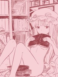Rule 34 | 1girl, book, bow, breasts, crescent, crescent pin, hair bow, hat, holding, holding book, indoors, leaf, long hair, looking at viewer, medium breasts, miyo (ranthath), mob cap, monochrome, nude, patchouli knowledge, shelf, sitting, solo, touhou, underboob, very long hair