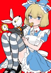 Rule 34 | 10s, 1girl, absurdres, alice (alice in wonderland), alice (alice in wonderland) (cosplay), alice in wonderland, animal, apron, banira (oocooocooocoo), black footwear, black suit, blonde hair, blue bow, blue dress, blue eyes, bow, closed mouth, collared dress, commentary, cookie, cosplay, dress, emblem, english text, feeding, food, food in mouth, formal, frilled bow, frilled dress, frills, girls und panzer, grey thighhighs, hair bow, heart, highres, holding, holding animal, katyusha (girls und panzer), looking at viewer, maid apron, mary janes, multicolored neckwear, necktie, pocket watch, puffy short sleeves, puffy sleeves, red background, shoes, short dress, short hair, short sleeves, simple background, sitting, striped clothes, striped thighhighs, suit, thighhighs, watch, white rabbit (alice in wonderland)