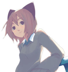 Rule 34 | 1girl, animal ears, breasts, brown eyes, cat ears, cat girl, collared shirt, female focus, hrd, light smile, long sleeves, looking at viewer, original, shirt, short hair, simple background, small breasts, smile, solo, sweater, upper body, white background, white shirt