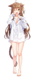 Rule 34 | 1girl, ;o, ahoge, animal ears, bare legs, barefoot, breasts, brown hair, cat ears, cat girl, cat tail, collarbone, dress shirt, full body, green eyes, highres, long hair, long sleeves, looking at viewer, medium breasts, naked shirt, one eye closed, one side up, open mouth, original, oversized clothes, shirt, simple background, solo, standing, tail, unjem, very long hair, waking up, white background, white shirt