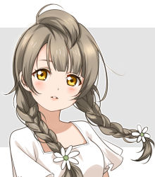 Rule 34 | 10s, 1girl, alternate hairstyle, braid, brown hair, clouble, daisy, flower, hair flower, hair ornament, highres, lips, looking at viewer, love live!, love live! school idol project, minami kotori, parted lips, shirt, simple background, solo, twin braids, upper body, white shirt, yellow eyes