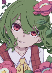 Rule 34 | 1girl, absurdres, ascot, collarbone, collared shirt, flower, green hair, hair between eyes, highres, kame (kamepan44231), kazami yuuka, looking at viewer, one-hour drawing challenge, open mouth, plaid, plaid vest, red eyes, red flower, red vest, shirt, short hair, simple background, solo, touhou, upper body, vest, white background, white shirt, yellow ascot
