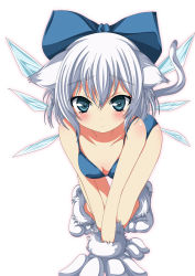 Rule 34 | 1girl, all fours, animal ears, bikini, blue bikini, blue eyes, blush, bow, cat ears, cat tail, cirno, hair bow, highres, ice, ice wings, kemonomimi mode, ma-yu, short hair, silver hair, solo, swimsuit, tail, touhou, white background, wings