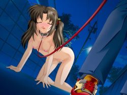 Rule 34 | all fours, barefoot, bdsm, black hair, blush, bondage, bound, breasts, brown hair, censored, character request, clothed male nude female, collar, crawling, closed eyes, gibomai, leash, night, nude, outdoors, pet play, public indecency, public nudity, shoes, slave, sneakers, source request, step sister, twintails, wakao yuuna