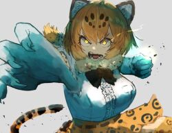 Rule 34 | 1girl, adeshi (adeshi0693119), animal ears, blonde hair, bow, bowtie, elbow gloves, extra ears, fang, gloves, grey background, jaguar (kemono friends), jaguar ears, jaguar girl, jaguar print, jaguar tail, kemono friends, looking at viewer, open mouth, scarf, shirt, short hair, simple background, skirt, solo, tail, yellow eyes