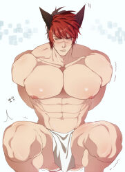 Rule 34 | 1boy, abs, animal ears, arms behind back, bara, closed mouth, gluteal fold, large pectorals, league of legends, male focus, muscular, muscular male, navel, nipples, pectorals, pelvic curtain, red hair, ryub, scar, scar on face, scar on nose, sett (league of legends), short hair, solo, squatting, thighs, translation request