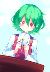 Rule 34 | 1girl, blue background, blush, chiroru (cheese-roll), dutch angle, frown, green hair, hair between eyes, kazami yuuka, letter, long sleeves, looking down, plaid, plaid vest, red eyes, shirt, short hair, solo, table, touhou, vest
