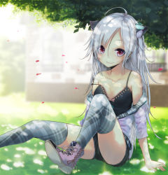 Rule 34 | 1girl, ahoge, animal ears, cat ears, dappled sunlight, la-na, long hair, looking at viewer, original, red eyes, shoes, shorts, silver hair, sitting, smile, solo, sunlight, thighhighs, zettai ryouiki