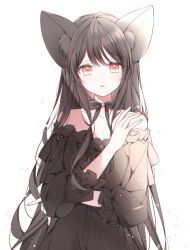 Rule 34 | 1girl, animal ear fluff, animal ears, bad id, bad pixiv id, bare shoulders, black bow, black dress, black hair, bow, brown eyes, collarbone, commentary, dress, english commentary, hair between eyes, hand up, long hair, long sleeves, mattang, off-shoulder dress, off shoulder, original, parted lips, simple background, solo, very long hair, white background, wolf ears