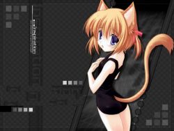 Rule 34 | animal ears, blue eyes, blush, brown hair, cat ears, cat tail, flat chest, one-piece swimsuit, school swimsuit, swimsuit, tail
