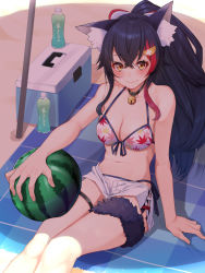 Rule 34 | 1girl, alternate costume, animal ear fluff, animal ears, ball, bare arms, bare shoulders, beachball, bell, bikini, bikini under clothes, black collar, black hair, blush, bottle, breasts, cleavage, collar, collarbone, commentary request, food print, hair between eyes, hair ornament, hairclip, highres, hololive, leaf print, long hair, looking at viewer, medium breasts, mikan (chipstar182), multicolored hair, navel, neck bell, ookami mio, ookami mio (hololive summer 2019), open fly, outdoors, red hair, shorts, sitting, smile, solo, streaked hair, swimsuit, virtual youtuber, water bottle, watermelon print, white bikini, white shorts, wolf ears, wolf girl