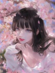 Rule 34 | 1girl, absurdres, bare shoulders, black hair, bm94199, branch, cherry blossoms, collarbone, eyebrows hidden by hair, flower, highres, korean commentary, long hair, looking at viewer, off-shoulder sweater, off shoulder, original, parted lips, pink flower, purple eyes, solo, sweater, white sweater