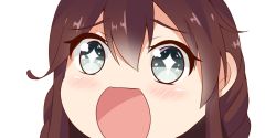 Rule 34 | + +, 10s, 1girl, black eyes, braid, brown hair, close-up, kantai collection, long hair, looking at viewer, nahaki, no nose, noshiro (kancolle), open mouth, portrait, simple background, sin-poi, solo, sparkling eyes, symbol-shaped pupils, white background