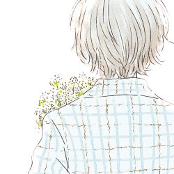 Rule 34 | 1boy, baby&#039;s-breath, black hair, blue shirt, bouquet, collared shirt, facing away, flower, from behind, itunohika, male focus, original, plaid, shirt, simple background, solo, upper body, wavy hair, white background, white flower