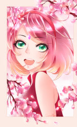 Rule 34 | 1girl, :d, blonde hair, blush, flower, from side, gradient hair, green eyes, hairband, haruno sakura, highres, jacket, looking at viewer, multicolored hair, naonao1016, naruto, naruto (series), open mouth, petals, pink flower, pink hair, red hairband, red jacket, short hair, sleeveless, sleeveless jacket, smile, solo, swept bangs, upper body