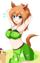 Rule 34 | 1girl, :d, animal ears, armpits, arms behind head, arms up, bandeau, bikini, bikini under clothes, blue eyes, blush, breasts, brown hair, cleavage, commentary request, cowboy shot, flying sweatdrops, front-tie bikini top, front-tie top, green skirt, highres, horse ears, horse tail, large breasts, long hair, looking at viewer, midriff, miniskirt, navel, open mouth, partial commentary, simple background, skirt, skirt set, smile, solo, standing, star (symbol), star print, stomach, strapless, swimsuit, taiki shuttle (umamusume), tail, tkka, tube top, umamusume, white background