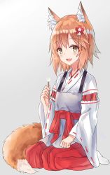 Rule 34 | 1girl, :d, akaya (pixiv20545353), animal ear fluff, animal ears, blush, brown eyes, brown hair, commentary request, flower, fox ears, fox girl, fox tail, full body, gradient background, grey background, hair between eyes, hair flower, hair ornament, hakama, hakama skirt, highres, holding, japanese clothes, kimono, looking at viewer, miko, mimikaki, no shoes, open mouth, red flower, red hakama, seiza, senko (sewayaki kitsune no senko-san), sewayaki kitsune no senko-san, sitting, skirt, smile, socks, solo, tail, white background, white kimono, white socks