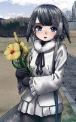 Rule 34 | 1girl, :d, absurdres, black-headed ibis (kemono friends), black-headed ibis (kemono friends) (cosplay), black gloves, black hair, black pantyhose, blowhole, blue eyes, blue hair, blunt bangs, brick road, commentary, cosplay, cowboy shot, flower, frilled sleeves, frills, fur collar, gloves, gradient hair, grey hair, highres, holding, holding flower, kemono friends, long sleeves, looking at viewer, multicolored hair, narwhal (kemono friends), open mouth, outdoors, pantyhose, pleated skirt, shirt, short hair with long locks, signature, skirt, smile, solo, welt (kinsei koutenkyoku), white shirt, white skirt, wide sleeves