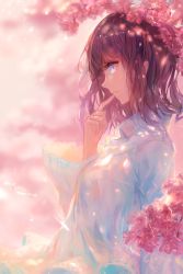 Rule 34 | 1girl, arm at side, blue eyes, blue shirt, blurry, blurry background, breasts, brown hair, cherry blossoms, closed mouth, collared shirt, commentary request, dappled sunlight, dated, day, eyelashes, finger to mouth, from side, half-closed eye, highres, kisei2, light particles, lips, long hair, long sleeves, looking afar, looking away, medium breasts, original, outdoors, profile, shirt, solo, spring (season), sunlight, tsurime, uneven eyes, upper body, wavy hair, wide sleeves, wing collar