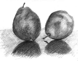 Rule 34 | drawing, food, food focus, fruit, original, pear, still life, uma-kotsu