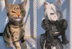 Rule 34 | 1girl, 2b (nier:automata), animal ear hairband, animal ears, black hairband, blue eyes, cat, cat ear hairband, cat ears, cleavage cutout, closed mouth, clothing cutout, dana (ocana dana), fake animal ears, feather-trimmed sleeves, hairband, highres, juliet sleeves, long sleeves, looking at viewer, mole, mole under mouth, nier:automata, nier (series), photo-referenced, puffy sleeves, raised eyebrow, reference photo, shadow, short hair, white hair