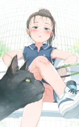Rule 34 | 1girl, animal, black cat, black hair, black shirt, black skirt, blue eyes, blush, breasts, cat, collared shirt, crossed legs, day, feet out of frame, forehead, gomennasai, half-closed eyes, high ponytail, highres, holding, long hair, looking away, on bench, original, outdoors, parted lips, pleated skirt, ponytail, racket, shirt, shoes, short sleeves, sitting, skirt, small breasts, solo, sportswear, sweat, sweatband, tennis racket, tennis uniform, thick eyebrows, white footwear, wristband