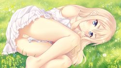 Rule 34 | 1girl, ass, bad id, bad pixiv id, bar censor, bare legs, bare shoulders, blonde hair, blue eyes, blush, censored, closed mouth, collarbone, commentary, dress, eyebrows, fetal position, field, flower, flower field, highres, long hair, looking at viewer, lying, no panties, on grass, on side, original, outdoors, pussy, rikorin, solo, sundress, thighs, wallpaper, white dress