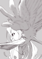 Rule 34 | 1girl, :p, ahoge, blurry, depth of field, dress, feathered wings, female focus, foreshortening, greyscale, hair between eyes, harpy, highres, monochrome, monster girl, mutouki, original, profile, solo, tongue, tongue out, wings