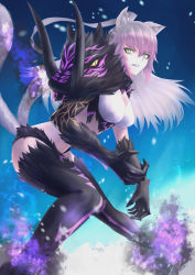 Rule 34 | 1girl, absurdres, animal ear fluff, animal ears, atalanta (fate), atalanta alter (fate), black panties, black thighhighs, blue background, breasts, clenched teeth, crop top, fate/grand order, fate (series), floating hair, fox ears, fox tail, fur-trimmed legwear, fur-trimmed panties, fur trim, green eyes, highres, long hair, medium breasts, multicolored hair, multiple tails, panties, pink hair, silver hair, slit pupils, solo, t800, tail, teeth, thighhighs, two-tone hair, underwear, v-shaped eyebrows, very long hair