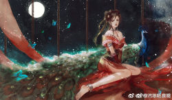 Rule 34 | 1girl, anklet, bare legs, bare shoulders, barefoot, bird, brown hair, bug, butterfly, chi lian (qin shi ming yue), dark background, full body, hair rings, hand on lap, highres, insect, jewelry, large tail, moon, ningmeng qishui shanchacha, open mouth, peacock, qinshi mingyue, sash, sitting, solo, tail, teeth