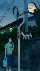 Rule 34 | 1girl, architecture, bag, black eyes, black hair, bush, cat, clothes writing, east asian architecture, english text, food, fruit, highres, looking to the side, looking up, nashigaya koyomi, original, outdoors, pants, pineapple, popsicle, reflection, shirt, shopping bag, short hair, sign, sky, solo, sunset, sweatpants, t-shirt, traffic mirror, twilight, wall