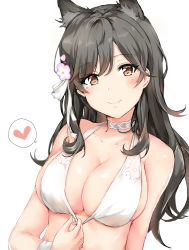 Rule 34 | 1girl, animal ears, atago (azur lane), atago (summer march) (azur lane), azur lane, black hair, blush, breasts, brown eyes, choker, cleavage, closed mouth, commentary request, flower, hair flower, hair ornament, hair ribbon, heart, highres, large breasts, long hair, looking at viewer, mole, mole under eye, ribbon, sidukisaika, simple background, smile, solo, spoken heart, upper body, white background, white choker, white ribbon