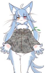 Rule 34 | 1boy, :3, ahoge, animal ear fluff, animal ears, artist request, blush, camouflage, camouflage jacket, cat ears, cat tail, copyright request, cowboy shot, furry, furry male, heterochromia, jacket, japan air self-defense force omaezaki sub-base, long hair, official art, omaneko, outstretched arms, red eyes, solo, tail, very long hair, yellow eyes