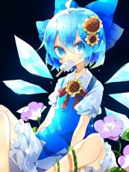 Rule 34 | 1girl, black background, bloomers, blue bow, blue dress, blue eyes, blue hair, bow, bowtie, cirno, collared shirt, commentary, dress, eating, feet out of frame, flower, food in mouth, hair bow, hair flower, hair ornament, hidden star in four seasons, highres, ice, ice wings, looking at viewer, medium hair, nikorashi-ka, pink flower, plant, popsicle, popsicle in mouth, puffy short sleeves, puffy sleeves, red bow, red bowtie, shirt, short dress, short sleeves, solo, sunflower, sunflower hair ornament, touhou, underwear, vines, white shirt, wings