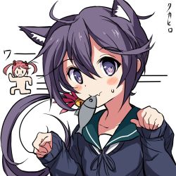 Rule 34 | 2girls, akebono (kancolle), animal ears, bell, blue sweater, cat day, cat ears, commentary request, fang, fish, flower, hair bell, hair flower, hair ornament, jingle bell, kantai collection, long hair, mouth hold, multiple girls, paw pose, purple eyes, purple hair, sazanami (kancolle), school uniform, serafuku, side ponytail, simple background, skin fang, solo focus, sweater, takahiro (rikky), upper body, very long hair, white background