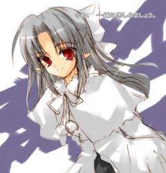 Rule 34 | 00s, 1girl, half updo, long hair, melty blood, parted bangs, pointy ears, red eyes, silver hair, smile, solo, tsukihime, type-moon, white len (tsukihime)