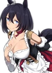 Rule 34 | 1girl, bare shoulders, black hair, blue eyes, bob cut, breasts, cleavage, detached sleeves, dress, ear scrunchie, eishin flash (umamusume), frilled sleeves, frills, german clothes, ghost of mosa, highres, horse, horse girl, horse tail, large breasts, looking at viewer, medium hair, shirt, solo, tail, umamusume, white shirt