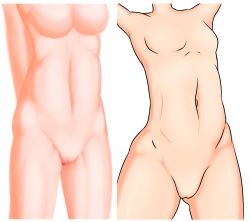 Rule 34 | absurdres, belly, comparison, highres, navel, nude, self-upload, torso, white background