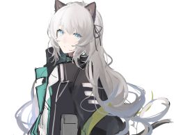 Rule 34 | 1girl, animal ears, arknights, black jacket, blue eyes, cat ears, cat girl, cat tail, closed mouth, commentary, female focus, grey hair, hair between eyes, highres, jacket, joshua (shisanli934), long hair, looking at viewer, mint (arknights), open clothes, open jacket, shirt, simple background, solo, tail, upper body, very long hair, white background, white shirt