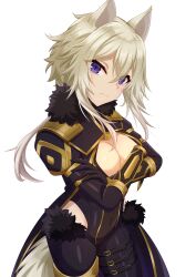 Rule 34 | 1girl, absurdres, animal ears, black bodysuit, black gloves, blonde hair, bodysuit, breast hold, breasts, cat ears, cat girl, cat tail, closed mouth, commentary, covered navel, crossed arms, gloves, gold trim, hair between eyes, highres, kage no jitsuryokusha ni naritakute!, large breasts, looking at viewer, ponytail, purple eyes, slit pupils, solo, tail, user yja4775, zeta (kage no jitsuryokusha ni naritakute!)