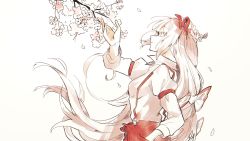 Rule 34 | 1girl, arm garter, arm up, blunt bangs, bow, branch, breasts, cherry blossoms, closed mouth, collared shirt, commentary request, falling petals, from side, fujiwara no mokou, hair bow, hand in pocket, highres, long hair, long sleeves, looking up, medium breasts, multiple bows, pants, petals, red eyes, red pants, shirt, sidelocks, simple background, smile, solo, somei ooo, standing, suspenders, touhou, two-tone bow, very long hair, white background, white hair, white shirt, wing collar